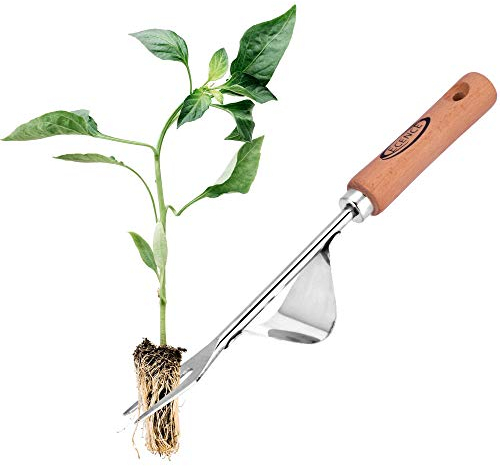 ECENCE Unkrautstecher Edelstahl, Wurzeljäter mit Holzgriff, Manueller Weeder zum Graben, Jäten, Lösen, Geschenk für Gärtner Gärtnerinnen