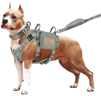 Forestpaw Taktisches Hundegeschirr für große Hunde, taktisches Hundehalsband mit Bungee-Leine, kein Ziehen, Militär-Hundegeschirr für Spaziergänge, Training, verstellbar, für mittelgroße und große