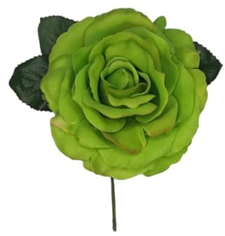 Fleur de flamme classique (pistache)