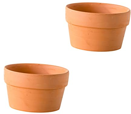 BESTonZON Maceta De Terracota para Cactus y Suculentas, 2 Piezas Pequeñas De 12,5 Cm, para Interior y Jardín, con Orificio De Drenaje, Diseño Tradicional para Decoración De Mesa y Escritorio