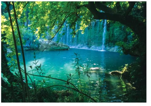 Papel Pintado Bosque Paisaje Lago Naturaleza Salón Dormitorio - Incluye Pegamento - Fotomurales Pared Tejido No Tejido Decorativos Murales Fotográfico Moderno Decoración de Paredes (416x254 cm)