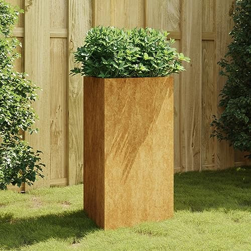 CIADAZ Jardinière 50x43x75 cm Acier corten,Jardiniere sur Pieds,Bac avec Treillis,Jardiniere Terrasse