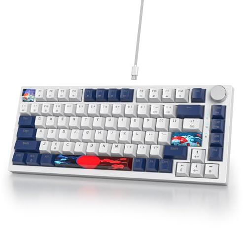 SOLIDEE Verkabelte 75% Mechanische Gaming-Tastatur,hot-swap-fähige Mechanische Tastatur mit Gasket Struktur,RGB-Hintergrundbeleuchtung,82 Tasten Kompakt TKL mit Drehknopf(82 Blue White)