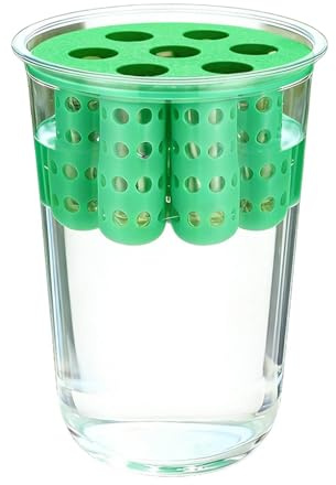 Vaso per cipolline Coltivatore Idroponico per Cipollina, Propagatore