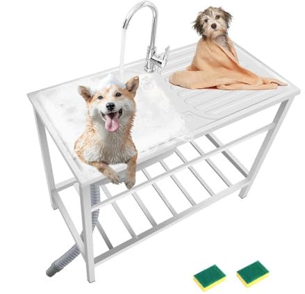 CylorvbdjEko Edelstahl Spüle Mit Armatur Für Kleine Küchenzeile Ausgussbecken Edelstahl Mit Kalt Wasserschläuchen, Ablassvorrichtung, Küchenspüle Für Outdoor Küche Werkstatt, Waschküche