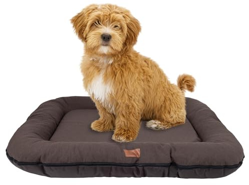 BOUTIQUE ZOO Hundebett - Wasserfest, Waschbar Hundematte aus Codura | In & Outdoor für kleine Hunde | Farbe: Braun, Größe S: 70 x 50 cm