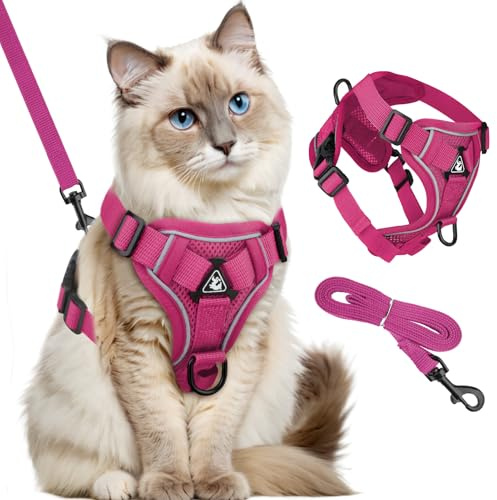 GlasFlength Katzengeschirr mit Leine Ausbruchsicher, Katzenleine mit Geschirr für Katzen Verstellbar Katzen Geschirr Set Cat Harness Softgeschirr für Katze mit Reflektierenden Streifen (Grau-M)