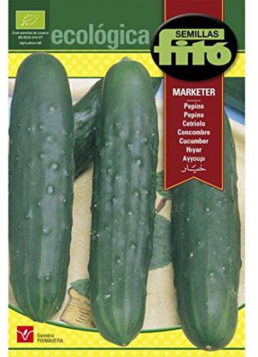 Semillas Fitó Pepino Marketer Ecológica