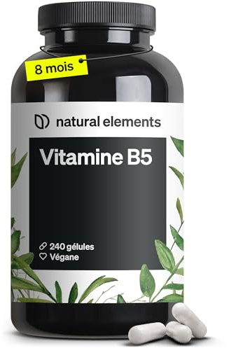 natural elements Vitamin B5 – 240 Kapseln - hochdosierte 500 mg Pantothensäure – vegan – in Deutschland produziert & laborgeprüft