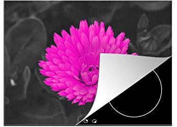 MuchoWow Herdabdeckplatte Ceranfeld Spritzschutz Küche Blumen - Aquarell - Rosa 58.3x51.3 cm Induktionsherd Abdeckung Induktionskochfeld Ceranfeldabdeckung