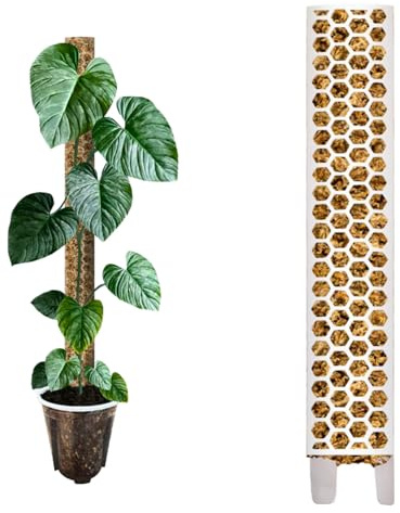 Nils der Växtvän mosspinne [PlantScraper] 40 cm (L) / 10 stycken/vit | växtpinne | Moss Pole | Spaljstav | utbyggbar mossa | mossa stavar | plantstolpe inomhus | mossstav för monstera