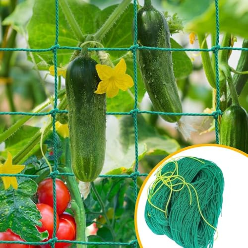 SHUOHONG Treillis Plante Grimpante Exterieur, Treillis pour Plantes Grimpantes, Filet Tuteur Vert avec Grande Maille, 3.6 x 1.8m, pour Concombres, Vignes, Fruits et LéGumes, Pois de Culture