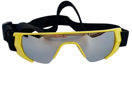 Winddichte Sonnenbrille für Haustiere, Hunde, Augenschutz, Schutz für Outdoor-Sportzubehör, Outdoor-Hund