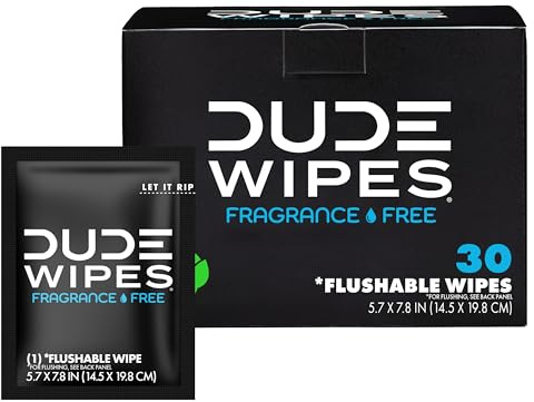 Dude Products Dude Wipes – spolbara våtservetter med aloe vera, singelförpackning för resor (30 st)