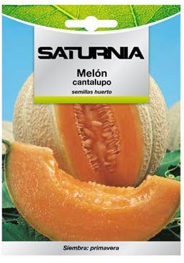 SATURNIA Semillas Melon Cantalupo (3 Gramos) Semillas Frutas, Horticultura, Horticola, Semillas Huerto.
