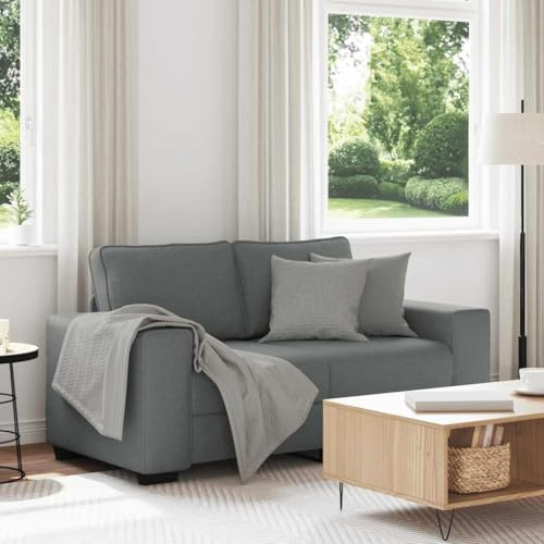IKAYAA Modern 2-Sitzer Sofa, 120 cm, Dunkelgrau, Polyester, Standard, Rechteckig, Eckig, Getuftet, Holz und Metall, 160 x 77 x 82 cm, 100 kg Tragfähigkeit, Zusammenbau erforderlich