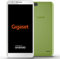 Gigaset GS100 Einsteiger-Smartphone ohne Vertrag (13,97 cm (5,5 Zoll HD+) 18:9 Display, 8GB Speicher, Android Oreo 8.1 Go) lemon green