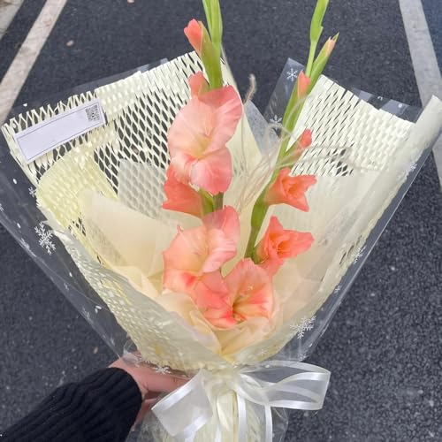 8 pcs Gladiolen Zwiebeln Winterhart Blumen Winterhart, Bienenfreund (Gladiolus) Winterharte Pflanzen Für Garten, Balkonblumen Flowers Decoration, Zimmerpflanzen Blumen Zwiebeln, Minigarten