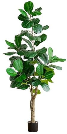 Higuera Artificial De Hoja De Violín, Ficus Lyrata Sintética, Ficus Sintético, Per Interni Ed Esterni, Decorazione Per Casa, Ufficio, Soggiorno(80cm/2.6ft)