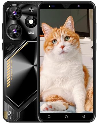 QrZrQ Unlocked Smartphone Barato, Pantalla de 5,0 Pulgadas 16GB ROM 3G Network Teléfono con Doble SIM y Doble Cámara (Pova6Pro-Black)