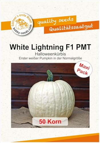 Kürbissamen White Lightning F1 50 Korn