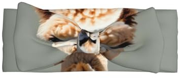WZYCWB Diadema de alpaca con lazo para bebé, accesorio elástico para el pelo, adecuada para bebés de 0 a 6 meses, regalo muy significativo