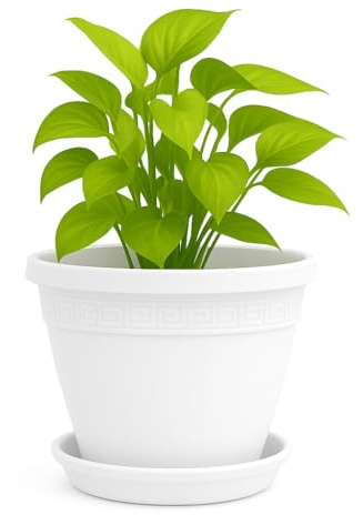 TECHZOCO Macetero con Plato, Maceta Redonda clásica de plástico con Plato, Tiesto para Plantas, Fabricado en Polipropileno, 13 cm Altura x 18 cm Diámetro Superior x 10 cm Diámetro Base, Blanco.