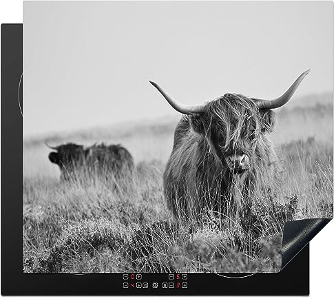 KitchenYeah© Herdabdeckplatte Einteilig Ceranfeld Abdeckplatte Küche Deko Ceranfeldabdeckung Herdabdeckung Induktionsmatte Schottisches Hochlandrind - Kuh - Grau - Hörner - Fell - Natur - 60x52 cm