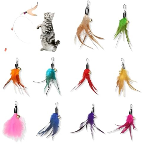 NiceNaiils 10 Pcs plumeau chat, plumes, jouet chat plume, recharge pour chat, plumes de rechange pour chat, Sans colorants chimiques, Avec recharges pour plumes naturelles de chat