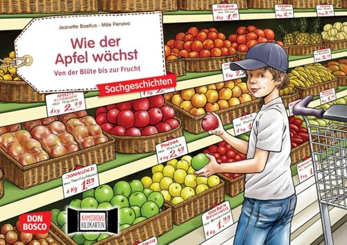 Wie der Apfel wächst. Von der Blüte bis zur Frucht. Kamishibai Bildkartenset: Entdecken - Erzählen - Begreifen: Sachgeschichten (Sachgeschichten für unser Erzähltheater)