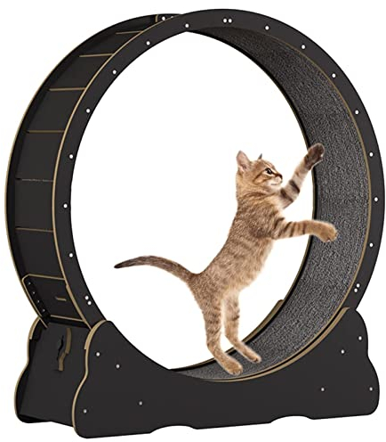 ExoticaBlend Katzenrad Katzenlaufband Laufband Laufrad Niedliche Katzenmöbel Haustier Spielzeug Katzenspielzeug Katzen Abnehmen Gerät,Black-L