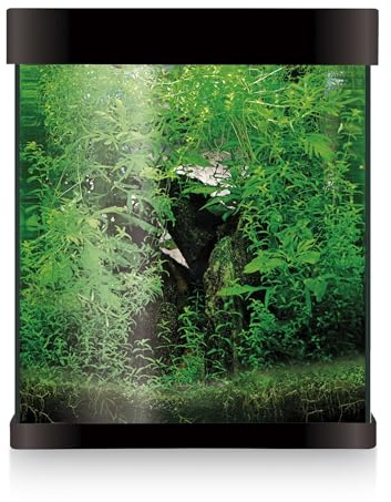 Acuario ICA Kit Nano AQUALED 20 litros Negro