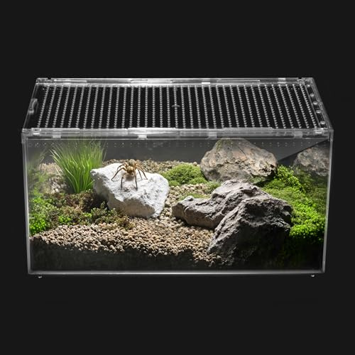 Clioran Reptile PC Terrarium,Tarantula Enclosure,Spider Tank Starter Kit,Leopard Gecko Container,Hermit Crab Habitat,Lizard Enclosure,Insect Housing,Jumping Spider Cage,Small Bearded Dragon Vivarium L