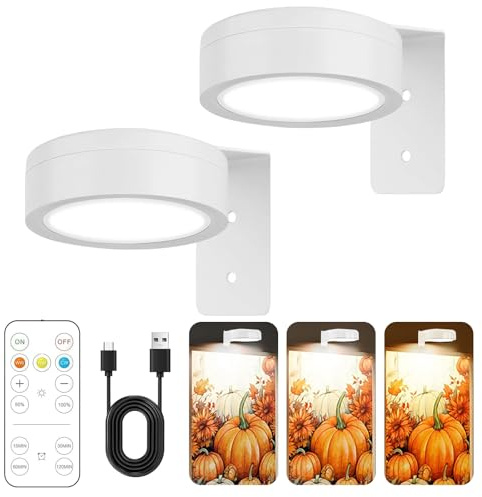 2 Stück Bilderleuchte Kabellos, Magnetisches Mallicht mit 3 Beleuchtungsmodi Bildbeleuchtung Kabellos Led Spot Akku, Bilderleuchte mit Fernbedienung und Timer Kunstleuchten für Malen Foto (Weiß)