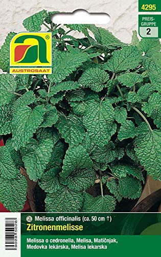 Austrosaat 4295 Zitronenmelisse (Zitronenmelissesamen)