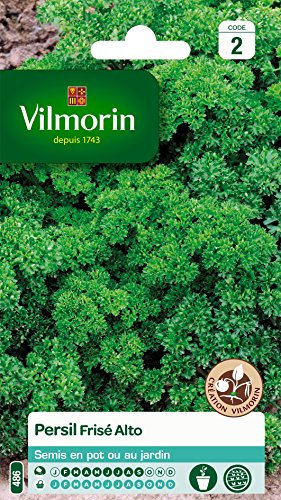 Vilmorin 3182670127915 3801542 Persil Frise Alto Creation, Vert, 90 x 2 x 140 cm