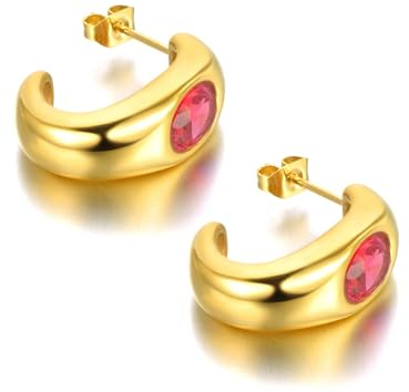Ohrringe Ohrstecker Ohrclip Damen Frauen S925 Hoop Ohrringe Mode Accessoires Geometrisch E22142G-Rot