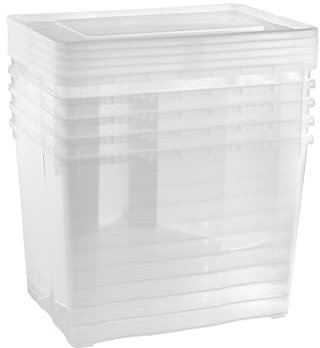 Grizzly Scatole di stoccaggio 5 x 20 L medio alte con coperchio trasparente - scatole trasparenti impilabili con ventilazione