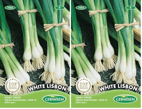 Germisem White Lisbon Semillas de Cebolla 4 g (Paquete de 2)