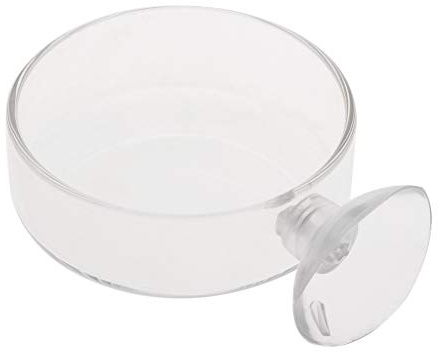 Qusinfc Plato de alimentación de camarones de cristal, bandeja de alimentación de acuario para peces, tanque, reptiles, cuenco redondo de alimentos de 2.4 x 0.7 pulgadas con ventosa, calentador