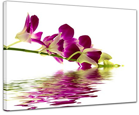 Bilderdepot24 Orchidee IV - Bild auf Leinwand 50 x 40 cm - Leinwandbilder Bilder als Leinwanddruck Pflanzen & Blumen Natur lila Orchideenpflanze