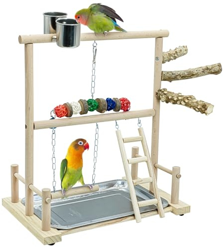kathson Bird Play Stand Parrot Perch Stand Natural Wood Bird Playground Playstand for Cockatiel Conures Parakeet Parrots Budgie Lovebird Finch Small Birds