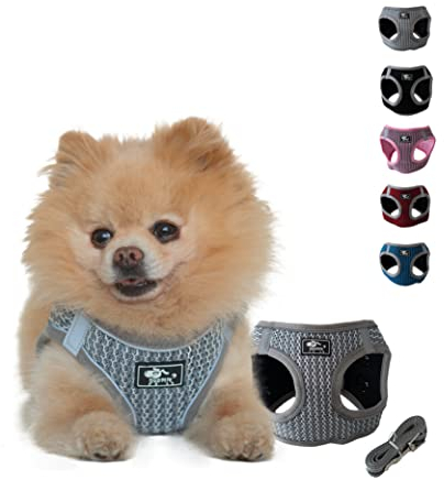 NEEZ Premium Geschirr für Katzen und kleine Hunde mit Leine | Super Bequeme Katzenweste | Ausbruchsicher und atmungsaktiv | Farbe: Grau/Schwarz Größe: XS