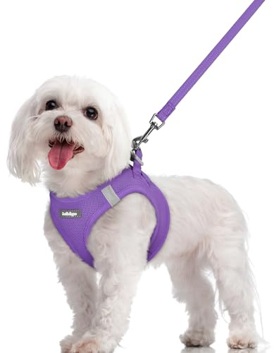 rabbitgoo Harnais Chien Petite Taille avec Laisse 156cm, Violet, M | Harnais Chiot Réglable, en Maille Douce Respirante Légère, Bande Réfléchissante, Arnet pour Petit Chien, pour Marcher Courir