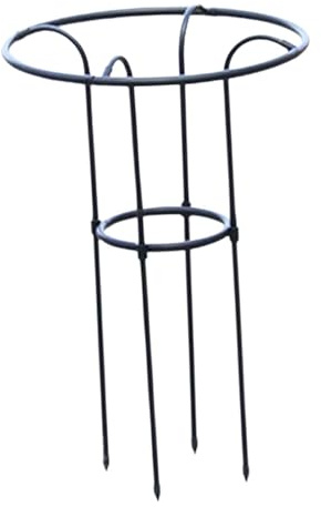 Ailan Marco Vertical para Rosas y Tomates. Enrejado metálico de fácil instalación. Ideal para Todo Tipo de Aficionados a la jardinería. Apto para macetas 25 cm, Negro, 70cm