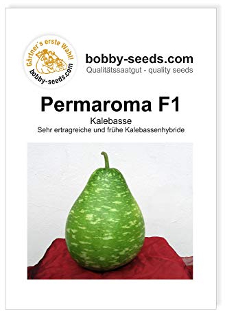 Bobby-Seeds Kürbissamen Permaroma F1 Portion