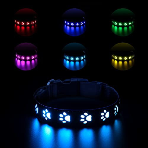Ankilo LED Leuchthalsband Hund,Leuchthalsband für Hunde Aufladbar,Hundehalsband Leuchtend Halsband für Hunde Einstellbare Größe Sicherheit,7 Farbwechsel Halsband Hund Helle Sicherheit,15,7-19,7IN,M