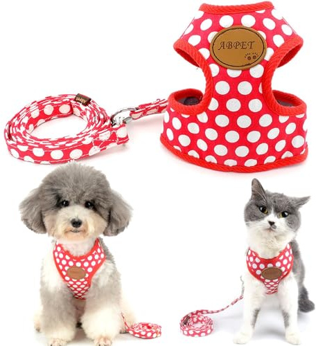 SMALLLEE_LUCKY_STORE Hundegeschirr mit Leine, weiche Mesh-Nylon-Weste für kleine Haustiere, Katzen-/Hundegeschirr