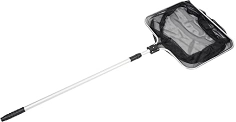 duvoplus, Epuisette Bassin mai Les Fines 30x25cm, Poisson, Poissons