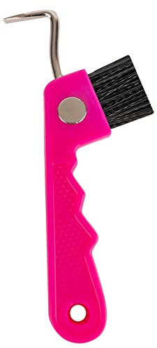 Hufkratzer mit Magnet